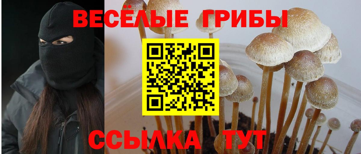 Псилоцибиновые грибы Magic Shrooms Шуя