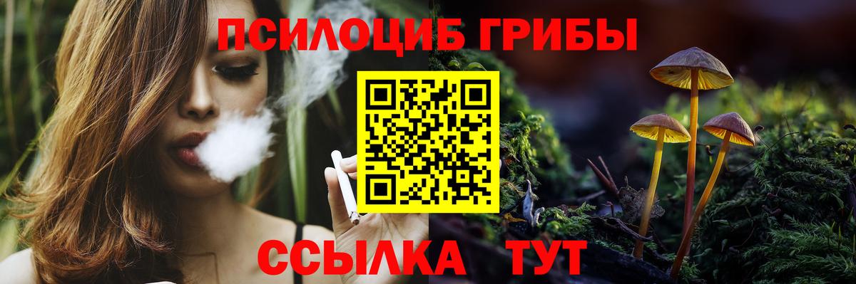 Шуя  Галлюциногенные грибы Psilocybine cubensis  Вход с VPN 